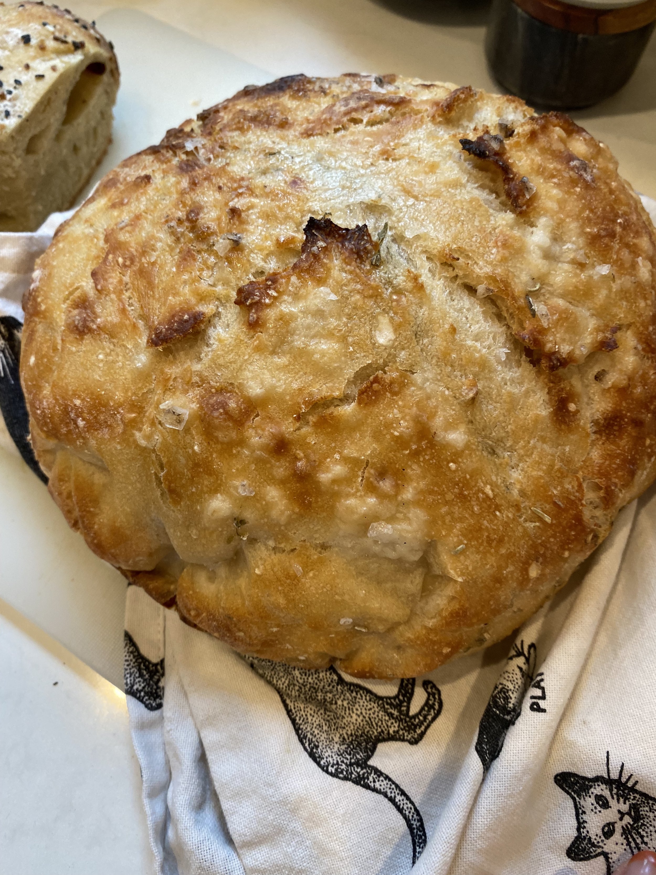 Simple Sourdough Bread — Mushroom Momma